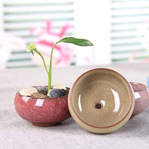 Succulent Plant Pot, My Decor 12 Pcs 2.5 Inch Ceramic Ice Crack Cactus Plant Pot /Flower Pot/ Container/ Planter