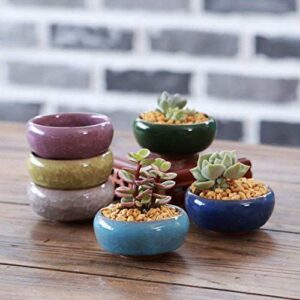 Succulent Plant Pot, My Decor 12 Pcs 2.5 Inch Ceramic Ice Crack Cactus Plant Pot /Flower Pot/ Container/ Planter