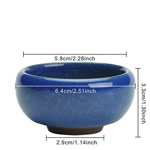 Succulent Plant Pot, My Decor 12 Pcs 2.5 Inch Ceramic Ice Crack Cactus Plant Pot /Flower Pot/ Container/ Planter