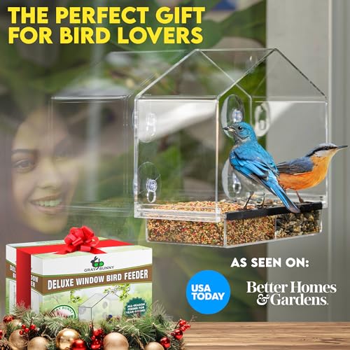 Window Bird Feeders for Outside - Large Bird House Style Window Bird Feeder - Window Bird Feeders with Strong Suction Cups with Drain Holes, Removable Tray, Large Seed Capacity and Rubber Perch