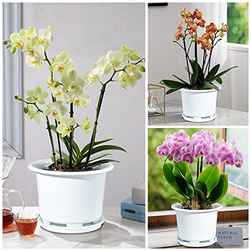 Meshpot 8 Inch Orchid Pots with Holes and Saucers,Double Layer Plastic Large Orchid Planter Pot,Flower Pots for Indoor Outdoor Flower Plants,Orchids,Herbs,Snake Plants and Succulents