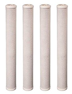 cfs – 4 pack carbon block water filter cartridges compatible with 20 inch house filters– remove bad taste & odor – whole house replacement water filter cartridge, white