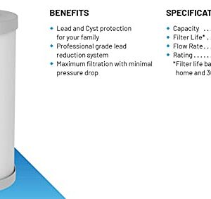 Pentair OMNIFilter PB35-10 Carbon Water Filter, 10-Inch, Whole House Premium Heavy Duty Carbon Block Lead Reduction Replacement Cartridge, 10" x 4.5", 0.5 Micron