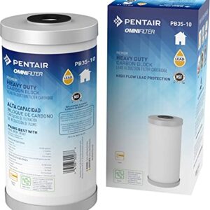 Pentair OMNIFilter PB35-10 Carbon Water Filter, 10-Inch, Whole House Premium Heavy Duty Carbon Block Lead Reduction Replacement Cartridge, 10" x 4.5", 0.5 Micron