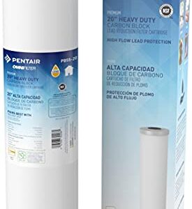 Pentair OMNIFilter PB55-20 Carbon Water Filter, 20-Inch, Whole House Premium Heavy Duty Carbon Block Lead Reduction Replacement Cartridge, 20" x 4.5", 0.5 Micron