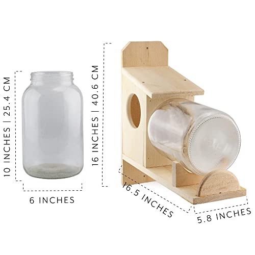 Uncle Dunkels Backyard Squirrel Feeder (w/Gallon Glass Jar); Rustic Handmade Squirrel Food Box