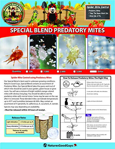 1,000 Live Adult Predatory Mites - Neoseiulus (Amblyseius) Californicus a Predatory Mite Specie for Spider Mite Control - Ships Next Business Day!l