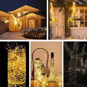 HANNAHONG Twinkle Fairy String Lights,33ft 100 LED,8 Modes USB Plug in with Remote & Timer, Waterproof Copper Wire Blinking Starry Light for Outdoor Christmas Bedroom Patio Wedding Decor,Warm White