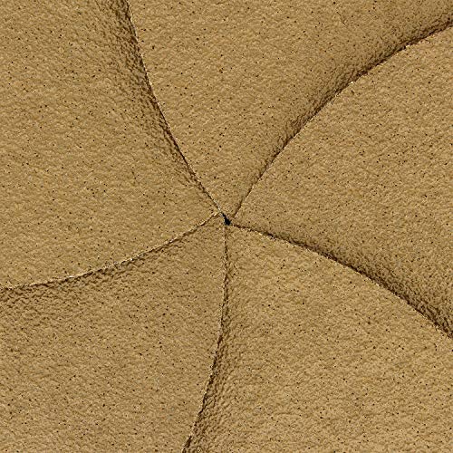 Dura-Gold Premium 8" Gold PSA Sanding Discs - 40 Grit (Box of 10) - Self Adhesive Stickyback Sandpaper for DA Sander, Finishing Coarse-Cut Abrasive - Sand Automotive Car Paint, Woodworking Wood, Metal