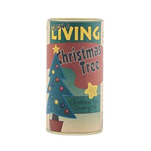 the jonsteen company living christmas tree | seed grow kit