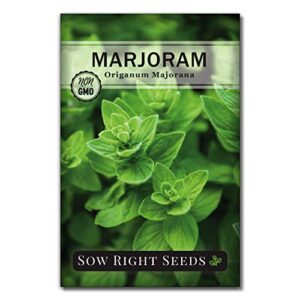 sow right seeds - marjoram seeds for plantin - non-gmo heirloom packet with instructions to grow a beautiful herb garden - plant indoors and outdoors - savory culinary herb in the kitchen (1)
