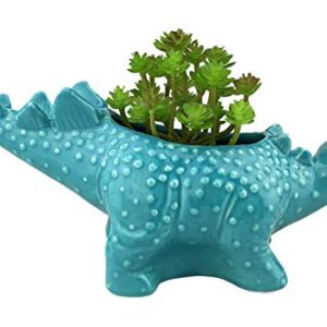 VanEnjoy 12 inches Cute Cartoon Dinosaur Ceramic Succulent Planter, Water Culture Hydroponics Bonsai Cactus Flower Pot,Air Plant Vase Holder Desktop Decorative Organizer (Stegosaurus, Blue)