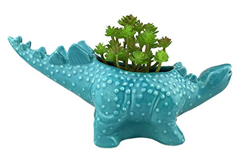 VanEnjoy 12 inches Cute Cartoon Dinosaur Ceramic Succulent Planter, Water Culture Hydroponics Bonsai Cactus Flower Pot,Air Plant Vase Holder Desktop Decorative Organizer (Stegosaurus, Blue)