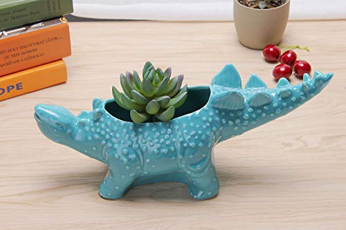 VanEnjoy 12 inches Cute Cartoon Dinosaur Ceramic Succulent Planter, Water Culture Hydroponics Bonsai Cactus Flower Pot,Air Plant Vase Holder Desktop Decorative Organizer (Stegosaurus, Blue)