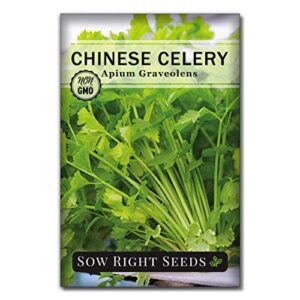 sow right seeds - chinese celery seeds for planting - non-gmo heirloom packet with instructions to plant and grow a home vegetable garden - culinary and compact herb, abundant stalks (1)