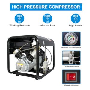 TUXING 4500Psi Pcp Compressor,Double Cylinder Scuba Air Compressor,Manually Stop Version,High Pressure Air Pump for Air Rifle Gun 6.8L Scuba Tank,Paintball Gun 30Mpa 110V(TXED011)