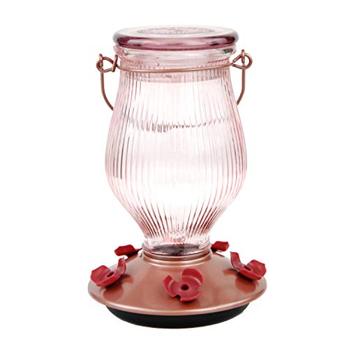 Perky-Pet 9104-2 Rose Gold Top-Fill Glass Hummingbird Feeder Rose Gold 24 oz Capacity