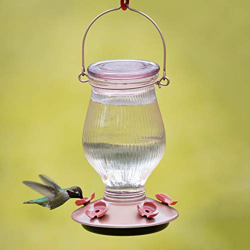 Perky-Pet 9104-2 Rose Gold Top-Fill Glass Hummingbird Feeder Rose Gold 24 oz Capacity