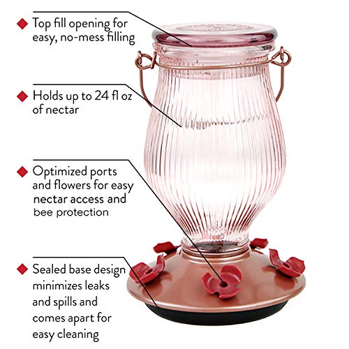 Perky-Pet 9104-2 Rose Gold Top-Fill Glass Hummingbird Feeder Rose Gold 24 oz Capacity