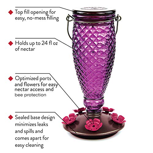 Perky-Pet 9102-1SR Purple Diamond Wine Top Fill Glass Hummingbird Feeder with Built-in Bee Guards - Outdoor Garden Décor - 24 Oz