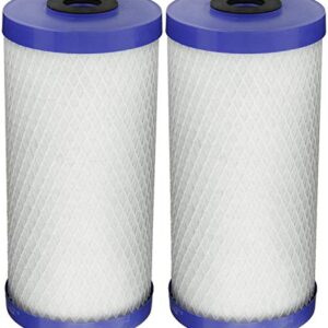 Pentek EP-BB Carbon Block Filter Cartridge, 9-3/4" x 4-5/8", 5 Microns (Pack of 2)