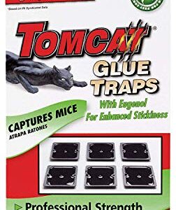 Tomcat Mouse Size Glue Traps, 18-Pack