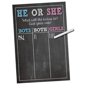 twins gender reveal party supplies - cast your vote poster sign - 11 x 17 matte cardstock - party game for twins baby reveal - design by katie doodle
