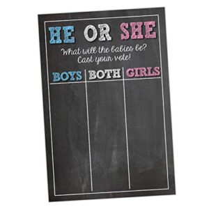 Twins Gender Reveal Party Supplies - Cast Your Vote Poster Sign - 11 x 17 Matte Cardstock - Party Game for Twins Baby Reveal - Design by Katie Doodle