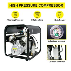 TUXING 4500Psi PCP Air Compressor,Scuba Tank Diving Compressor,Double Cylinder High Pressure Pump with Adjustable Pressure for Filling Pcp Air Rifles,Scuba Diving Tanks 110V(TXED012)