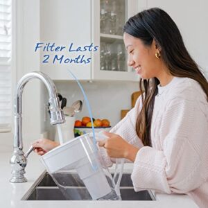 Santevia MINA Alkaline Water Filter Pitcher | Water Filtration System | Chlorine and Lead Filter | Water Purifier Pitcher | Home Water Filtration Pitcher | 9-Cup at Home Water Filter | Made in Canada