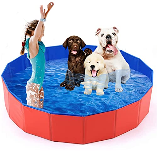 mcgrady1xm Collapsible Pet Dog Bath Pool, Kiddie Pool Hard Plastic Foldable Bathing Tub PVC Outdoor Pools for Dogs Cat Kid