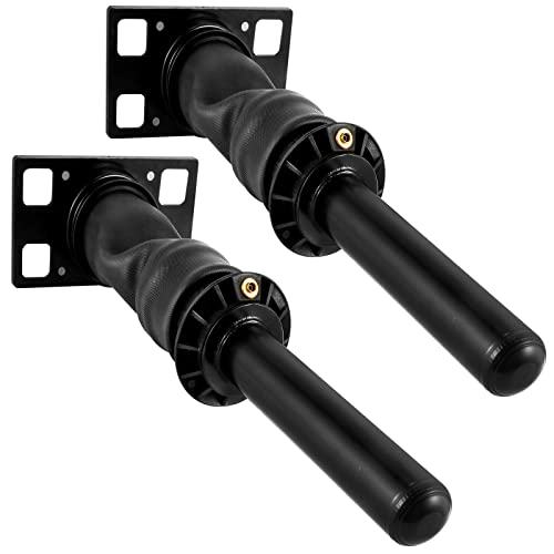 Mophorn Rear Cab Air Shock Absorber for International Prostar 2008+ 3595977C96 3595977C95 Cab Air Shock Dampen the Driving Vibration (Two Piece(a pair))