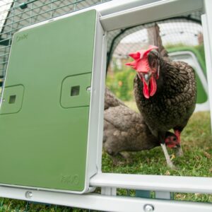 Omlet Automatic Chicken Coop Door Opener Operated by Light Sensor or Timer | Easy to Install, No Maintenance Required | Improves Coop Security and Insulation | Built-in Safety Sensors | Green