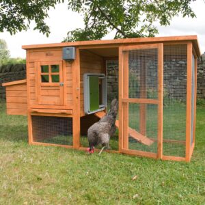 Omlet Automatic Chicken Coop Door Opener Operated by Light Sensor or Timer | Easy to Install, No Maintenance Required | Improves Coop Security and Insulation | Built-in Safety Sensors | Green