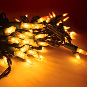 612 Vermont 100 Gold Frost Christmas Lights on a Green Wire String, UL Approved, Indoor and Outdoor Use, 18 Foot of Lighted Length, 20 Foot of Total Length