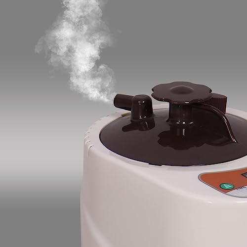 Smartmak Portable Sauna Steamer, 2L 900W Stainless Steel Generator, with Remote Control, Home Spa Machine for Body Detox (US Plug)