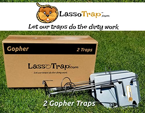 LASSO TRAP Gopher (Large) Trap (Pack of 2) Galvanized and Oil-Hardened Steel Lasso Trap/Super Cost Effective Reusable & Durable Animal Trap Best in The Lawn, Yard, Garden, Farm, & All Outdoor Setting