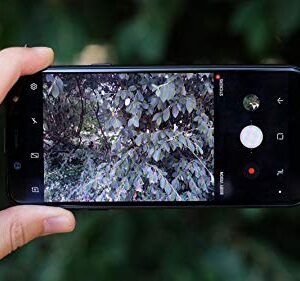 Samsung 32GB A6 Factory Unlocked Phone - 5.6" - Black (U.S. Warranty)