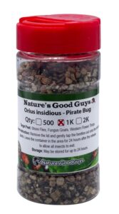naturesgood guys 1,000 orius insidiosis - minute pirate bugs - attacks all stages of thrips