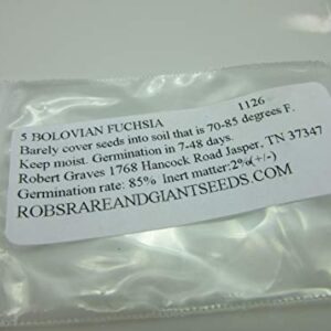 1126-Bolivian Fuchsia (Fuchsia boliviana) Seeds by Robsrareandgiantseeds UPC0764425787310 Non-GMO,Organic, Rare Species, Bonsai,1126 Package of 5 Seeds