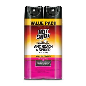 hot shot ant, roach & spider killer 2 pack, 17.5 oz, kills roaches and listed ants on contact, indoor & outdoor insecticide spray