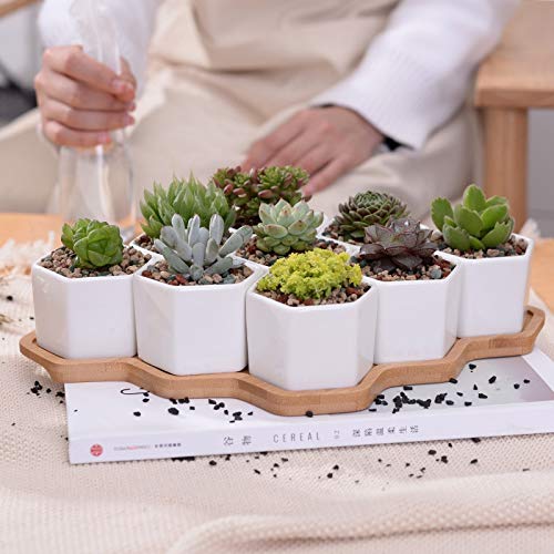 Zamtac Set of 9 Hexagon Flowerpots White Ceramic Succulent Plant Pot with Bamboo Stand Bonsai Planter Home Decor Ornament