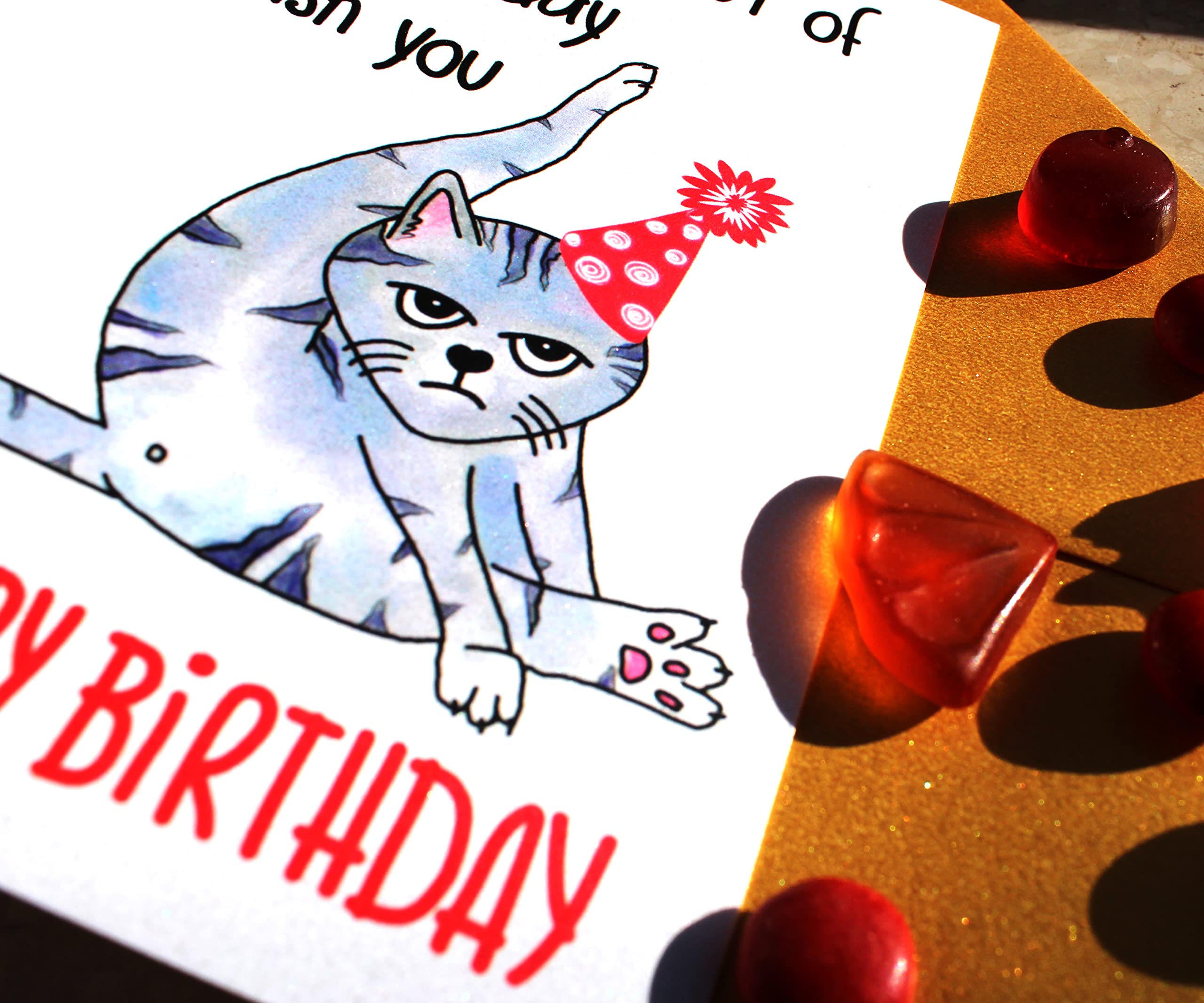 Taking Time out of My Busy Day to Wish You a Happy Purr-fect Birthday Handmade Card from Grumpy Cat, Funny Bday Gift for Cat Mom, Cat Dad or Cat Lover