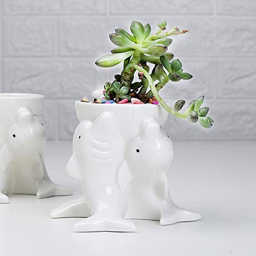 Zamtac Nordic Style Simple Indoor Outdoor Gardening Creative Succulent Plant Pots Dolphins White Ceramic Pots Desktop Potted Ornaments