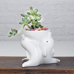 Zamtac Nordic Style Simple Indoor Outdoor Gardening Creative Succulent Plant Pots Dolphins White Ceramic Pots Desktop Potted Ornaments