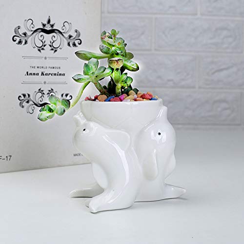 Zamtac Nordic Style Simple Indoor Outdoor Gardening Creative Succulent Plant Pots Dolphins White Ceramic Pots Desktop Potted Ornaments