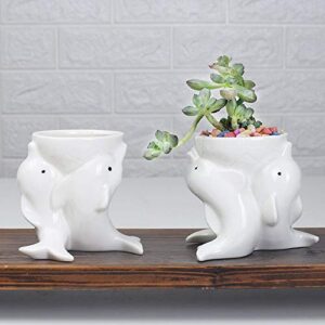 Zamtac Nordic Style Simple Indoor Outdoor Gardening Creative Succulent Plant Pots Dolphins White Ceramic Pots Desktop Potted Ornaments