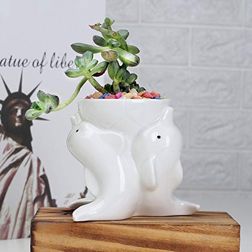 Zamtac Nordic Style Simple Indoor Outdoor Gardening Creative Succulent Plant Pots Dolphins White Ceramic Pots Desktop Potted Ornaments