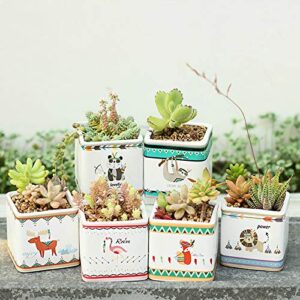zamtac set of 6 cartoon animal painting planters ceramic succulent plant pot porcelain desktop bonsai planter flamingo panda fox