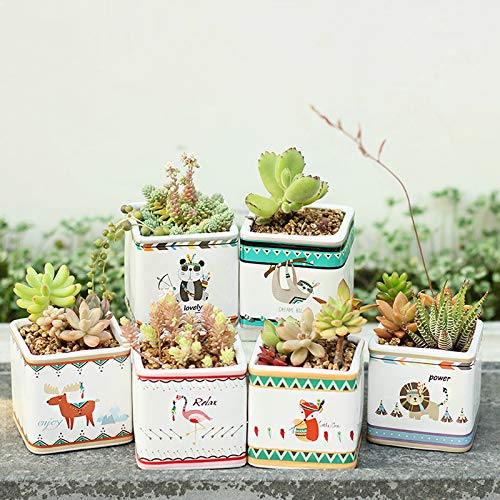 Zamtac Set of 6 Cartoon Animal Painting Planters Ceramic Succulent Plant Pot Porcelain Desktop Bonsai Planter Flamingo Panda Fox